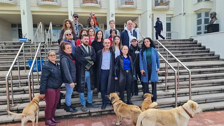 KÖPEKLERİN ZEHİRLENMESİ İLE İLGİLİ DAVADA MAHKEMEDEN DURDURMA KARARI