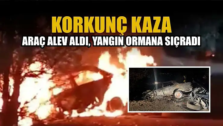 Korkunç kaza: Araç alev aldı, yangın ormana sıçradı