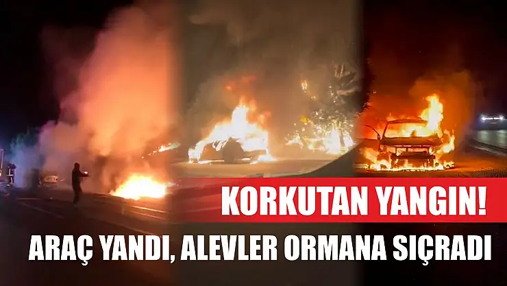 Korkutan yangın! Araç yandı, alevler ormana sıçradı