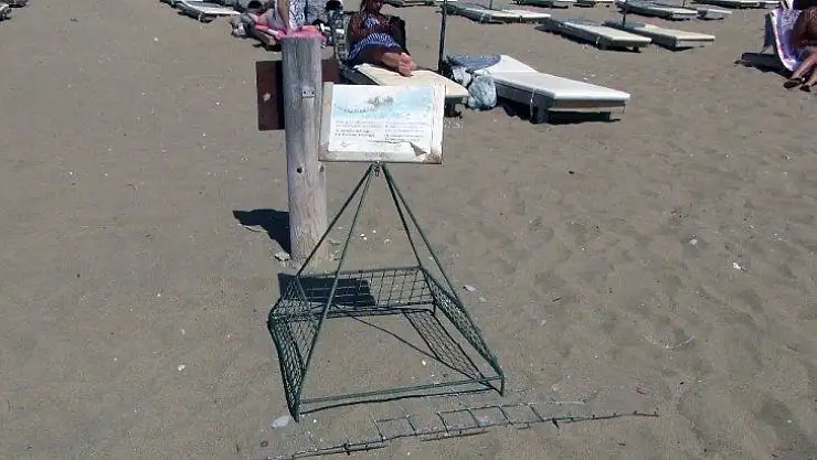 Korona virüs deniz kaplumbağalarına yaradı