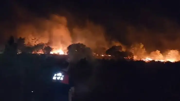 Korubükü'nde Orman Yangını