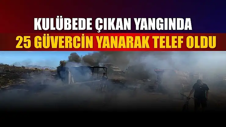 Kulübede çıkan yangında 25 güvercin yanarak telef oldu