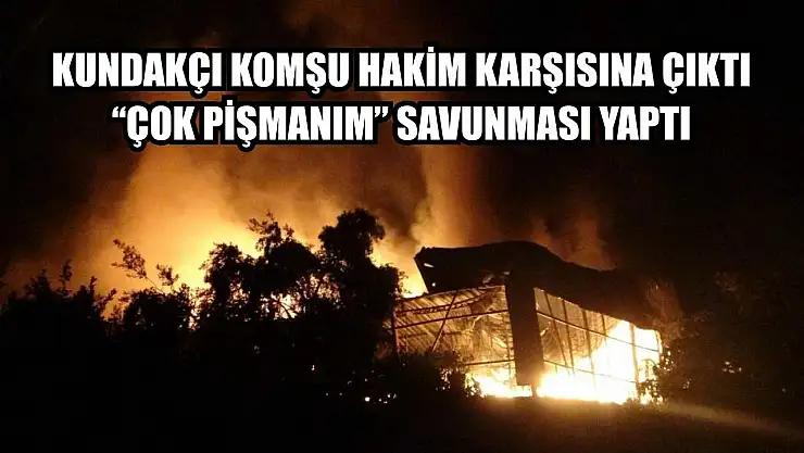 Kundakçı komşu hakim karşısına çıktı: 'Çok pişmanım' savunması yaptı
