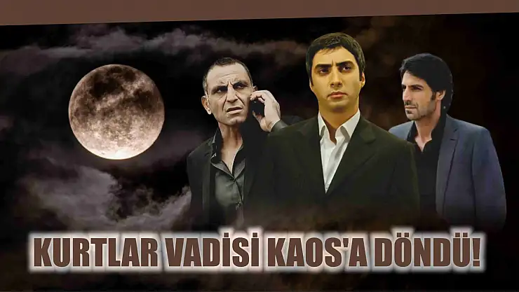 'Kurtlar Vadisi Kaos'a döndü! 