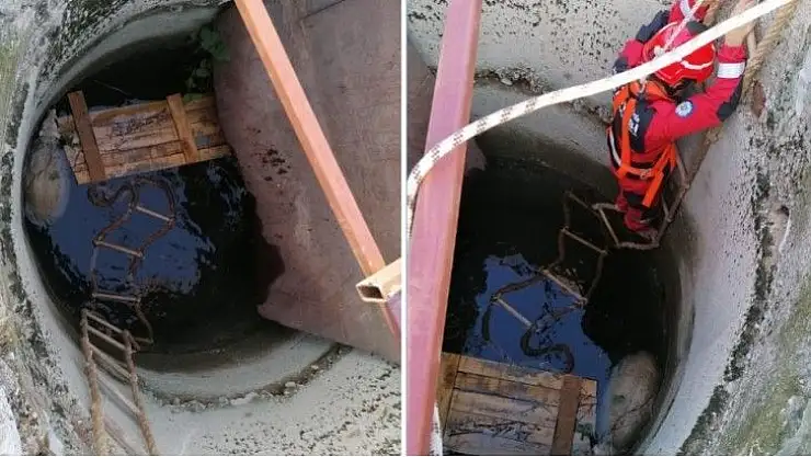 Kuyuya düşen kuzu kurtarıldı