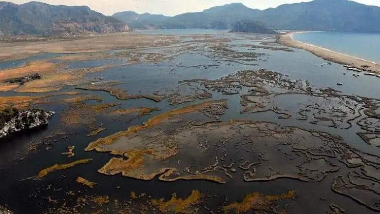 Labirent görünümlü Dalyan sazlıkları misafirlerini ağırlamaya devam ediyor