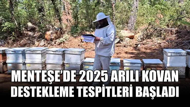 Menteşe'de 2025 arılı kovan destekleme tespitleri başladı