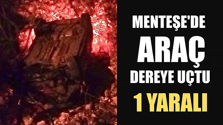 Menteşe'de araç dereye uçtu: 1 yaralı
