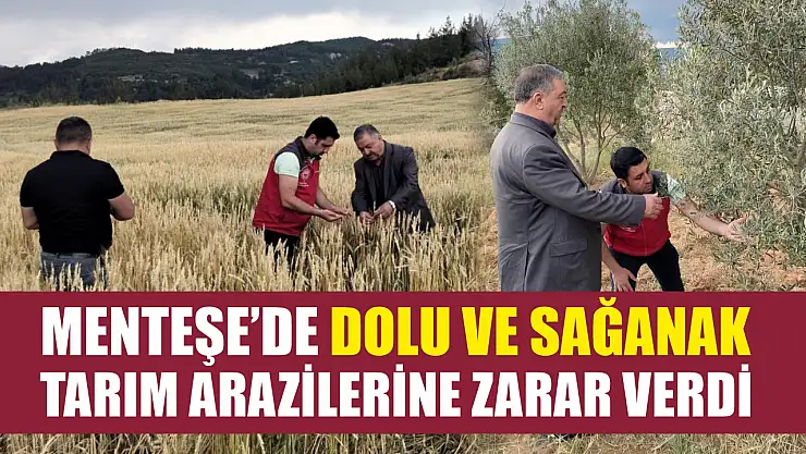 Menteşe'de dolu ve sağanak tarım arazilerine zarar verdi