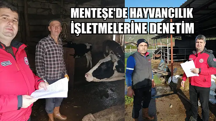 Menteşe'de hayvancılık işletmelerine denetim