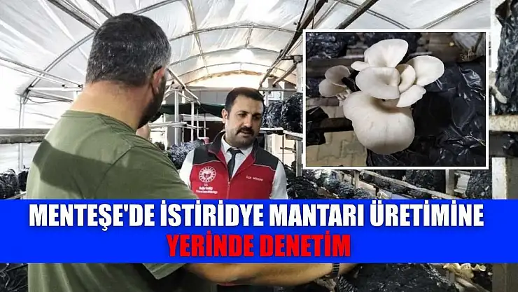 Menteşe'de istiridye mantarı üretimine yerinde denetim