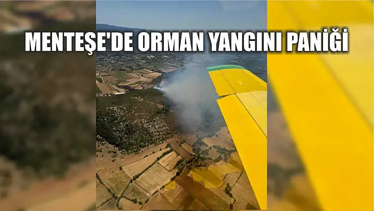 Menteşe'de Orman Yangını Paniği