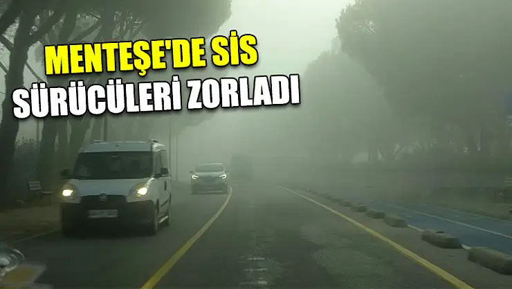 Menteşe'de sis sürücüleri zorladı