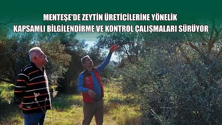 Menteşe'de zeytin üreticilerine yönelik kapsamlı bilgilendirme ve kontrol çalışmaları sürüyor