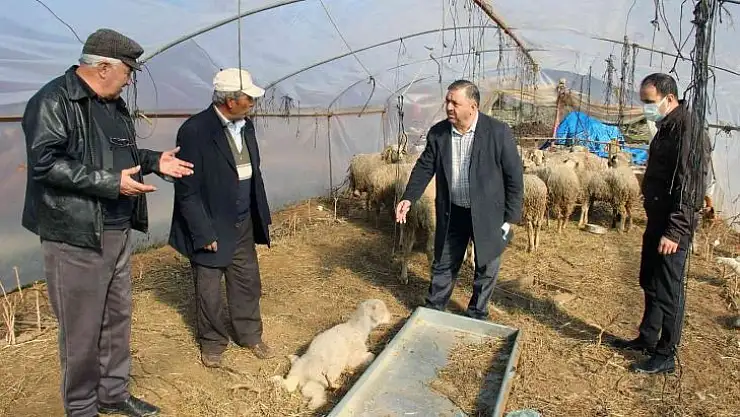 Menteşe Ziraat Odası'ndan afet mağdurlarına yardım