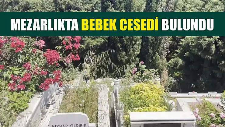 Mezarlıkta bebek cesedi bulundu