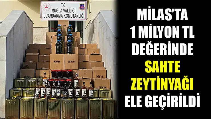 Milas'ta 1 milyon TL değerinde sahte zeytinyağı ele geçirildi