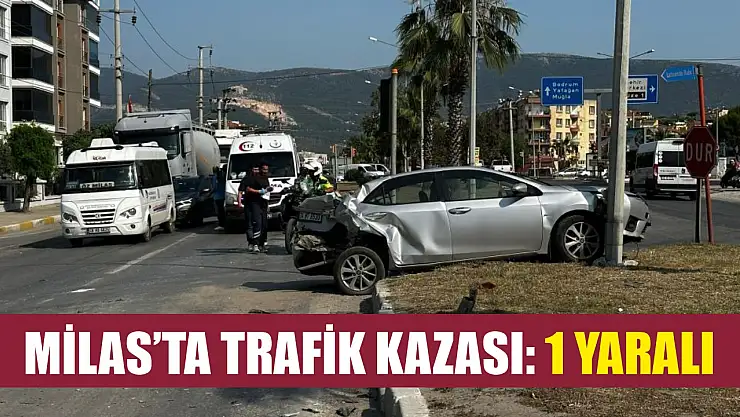 Milas'ta trafik kazası: 1 yaralı