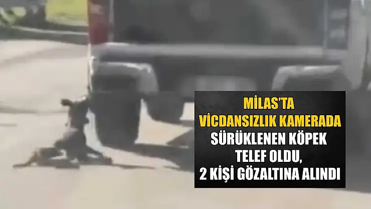 Milas'ta vicdansızlık kamerada: Sürüklenen köpek telef oldu, 2 kişi gözaltına alındı