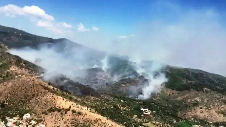Milas'taki orman yangınına müdahale sürüyor