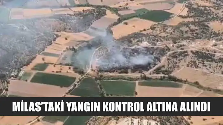 Milas'taki yangın kontrol altına alındı