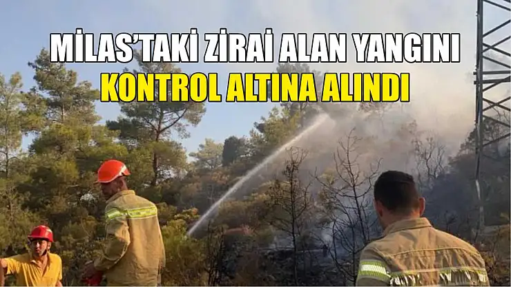 Milas'taki zirai alan yangını kontrol altına alındı
