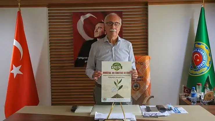 MİZO üyelerine ücretsiz Memecik zeytin fidanı dağıtılacak