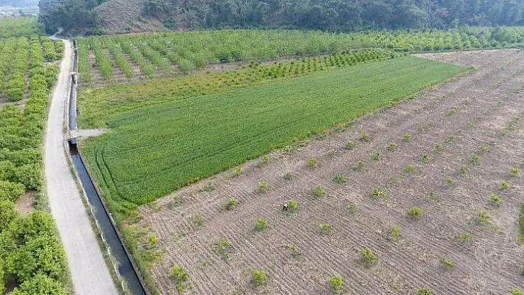 Muğla'da 121 bin 3000 dekar tarım arazisi sulandı