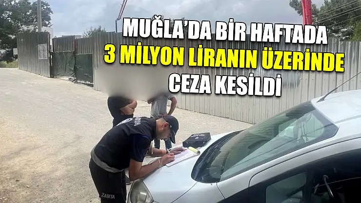 Muğla'da Bir haftada 3 milyon liranın üzerinde ceza kesildi