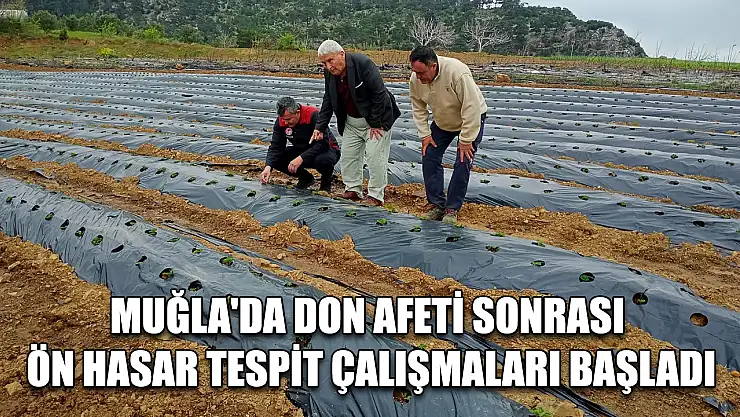 Muğla'da don afeti sonrası ön hasar tespit çalışmaları başladı