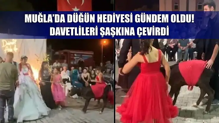 Muğla'da Düğün Hediyesi Gündem Oldu! Davetlileri Şaşkına Çevirdi