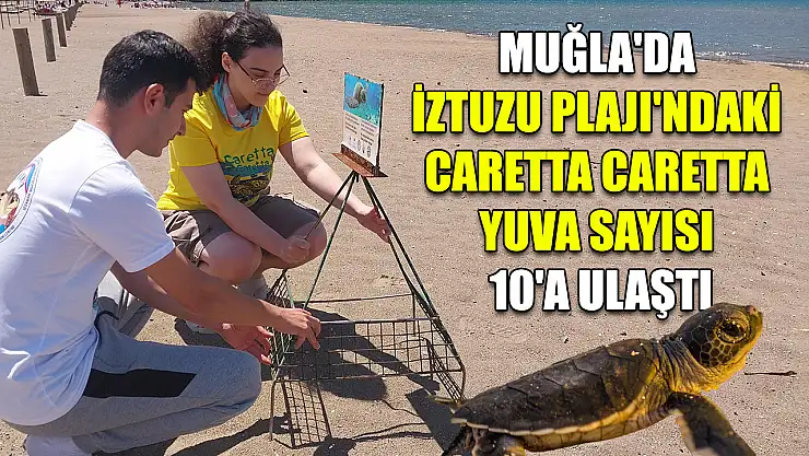 Muğla'da İztuzu Plajı'ndaki caretta caretta yuva sayısı 10'a ulaştı
