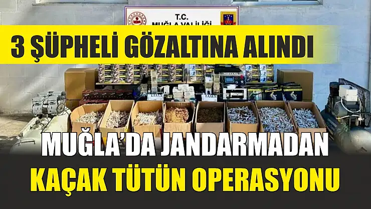 Muğla'da jandarmadan kaçak tütün operasyonu: 3 şüpheli gözaltına alındı