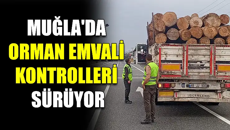 Muğla'da orman emvali kontrolleri sürüyor