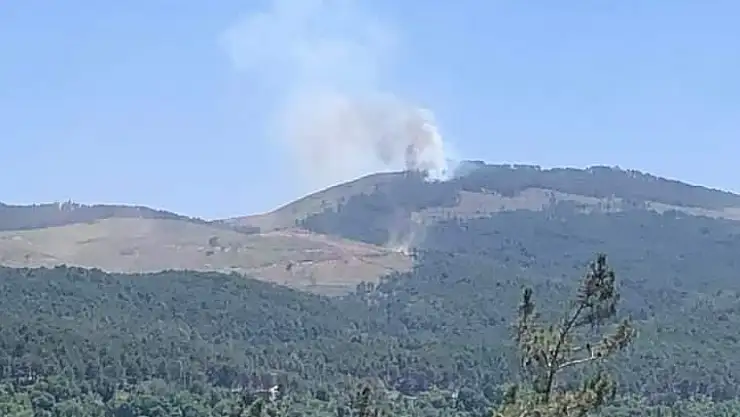 Muğla'da orman yangını
