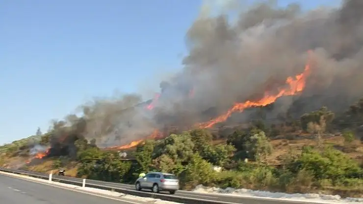 Muğla'da orman yangınları korkutuyor