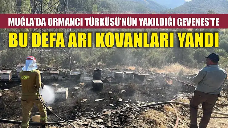 Muğla'da Ormancı Türküsü'nün yakıldığı Gevenes'te bu defa arı kovanları yandı