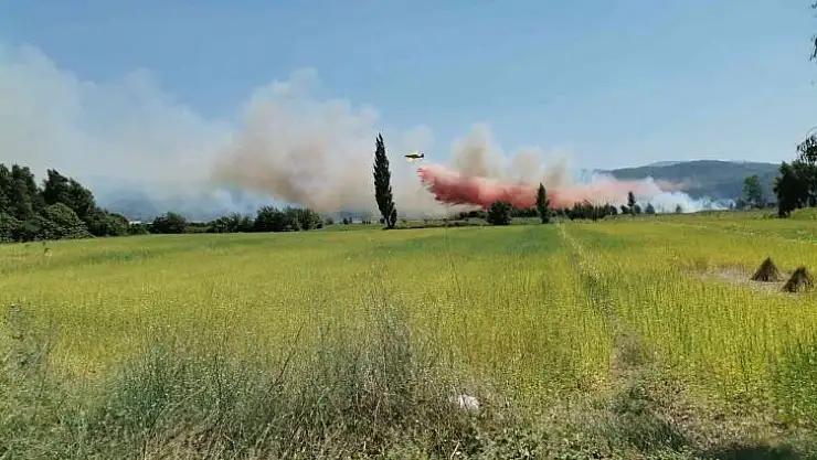 MUĞLA'DA TARIM ARAZİSİNDE YANGIN ÇIKTI