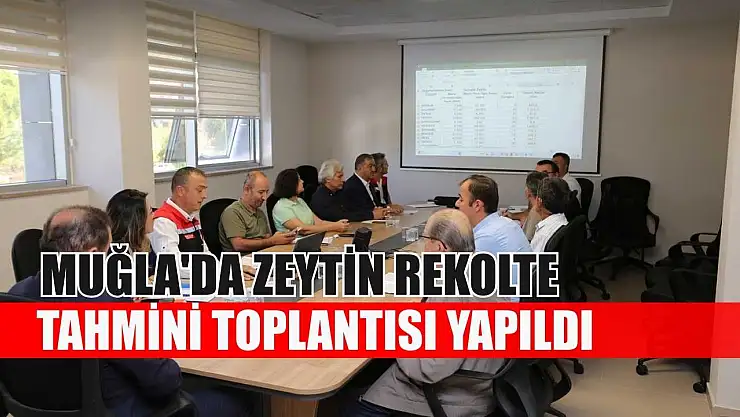 Muğla'da zeytin rekolte tahmini toplantısı yapıldı