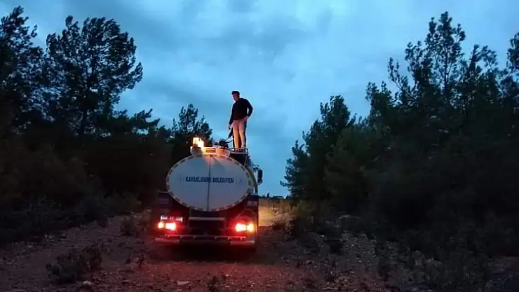 Muğla'daki orman yangınları söndürüldü