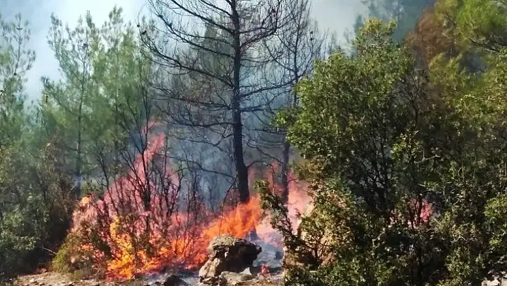 Muğla'daki yangınlar kontrol altına alındı
