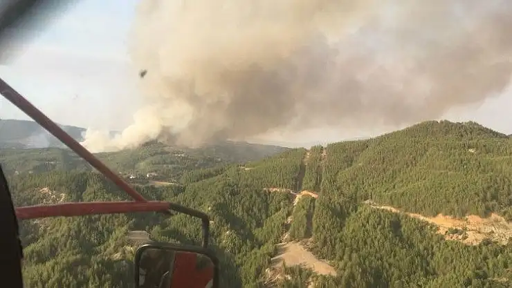 Muğla'daki yangınlara bir yenisi daha eklendi