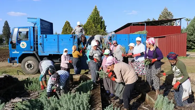 Muğla Orman Bölge Müdürü, 11 Kasım'a Hazır