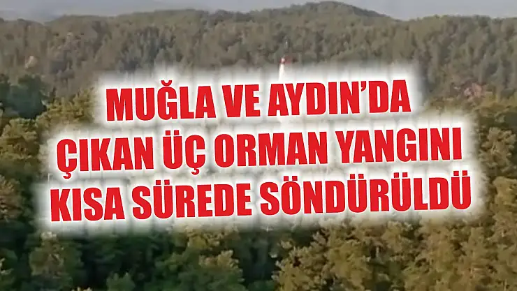 Muğla ve Aydın'da çıkan üç orman yangını kısa sürede söndürüldü