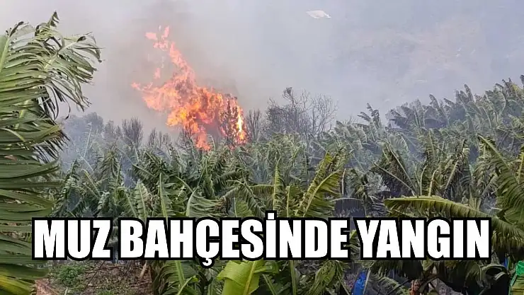 Muz bahçesinde yangın