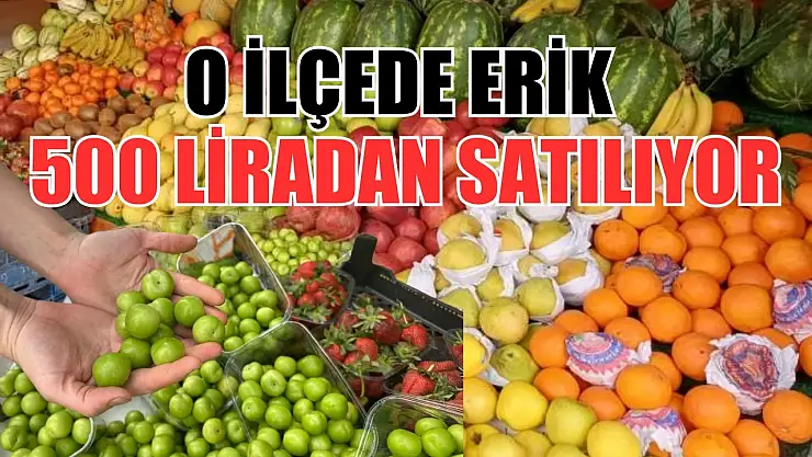 O ilçede erik 500 liradan satılıyor