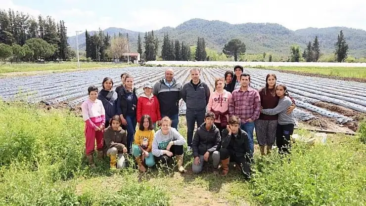 Öğrenciler Çilek yetiştiriciliğine başladı