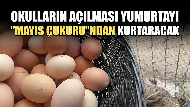 Okulların açılması yumurtayı 'Mayıs çukuru'ndan kurtaracak