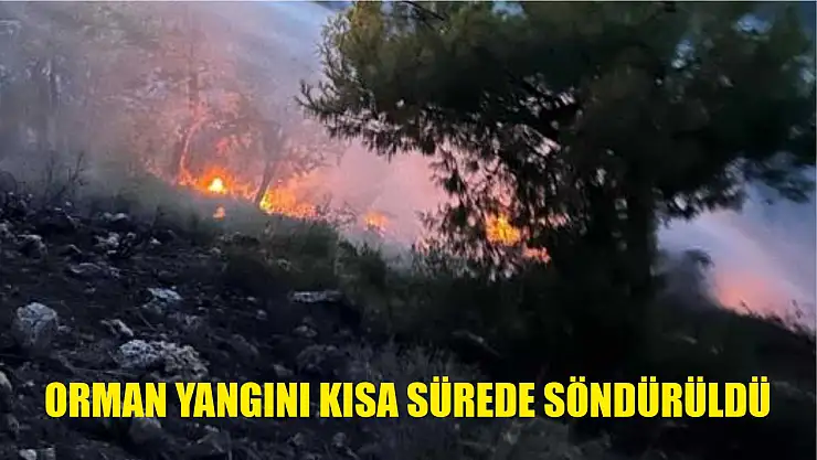 Orman yangını kısa sürede söndürüldü