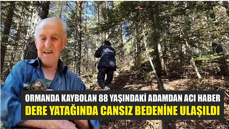 Ormanda kaybolan 88 yaşındaki adamdan acı haber: Dere yatağında cansız bedenine ulaşıldı